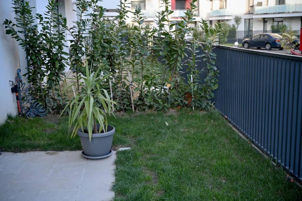 #Minehouse Lägenhet Timişoara Exteriör bild