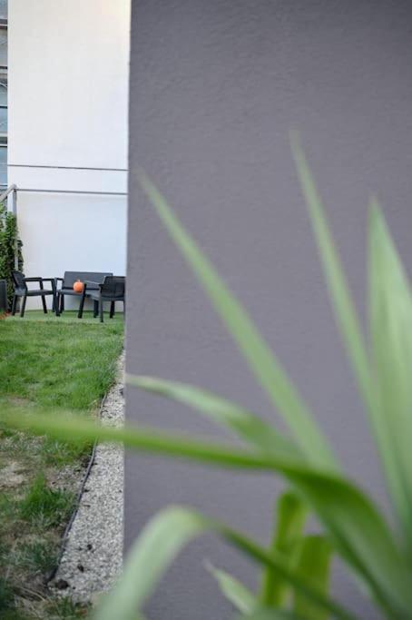 #Minehouse Lägenhet Timişoara Exteriör bild